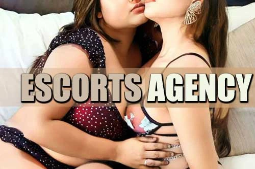 escorts in hyderabad